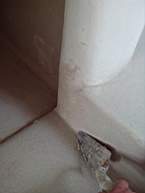 spaincottageextension 5040.jpg